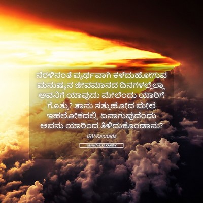 Picture 05 - ಪ್ರಸಂಗಿ 6:12 KANIRV - ನೆರಳಿನಂತೆ - Bible Verse Picture