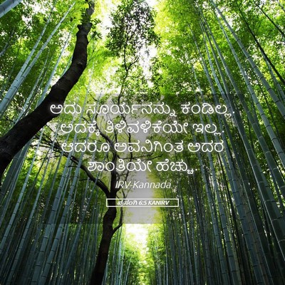 Picture 05 - ಪ್ರಸಂಗಿ 6:5 KANIRV - ಅದು ಸೂರ್ಯನನ್ನು - Bible Verse Picture