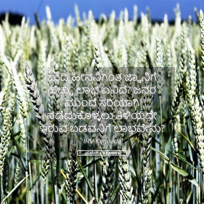 Picture 05 - ಪ್ರಸಂಗಿ 6:8 KANIRV - ಬುದ್ಧಿಹೀನನಿಗಿಂತ - Bible Verse Picture