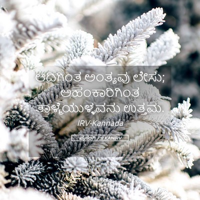 Picture 05 - ಪ್ರಸಂಗಿ 7:8 KANIRV - ಆದಿಗಿಂತ ಅಂತ್ಯವು - Bible Verse Picture