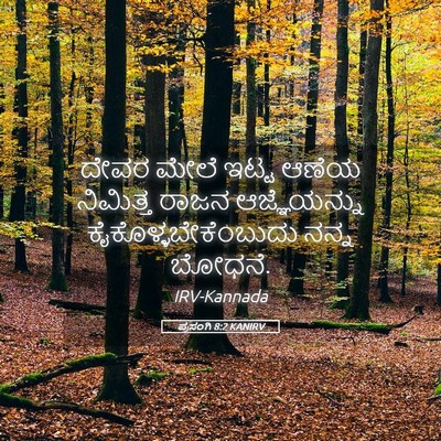 Picture 05 - ಪ್ರಸಂಗಿ 8:2 KANIRV - ದೇವರ ಮೇಲೆ ಇಟ್ಟ - Bible Verse Picture