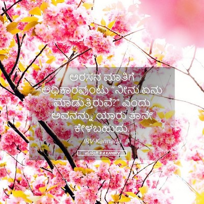 Picture 05 - ಪ್ರಸಂಗಿ 8:4 KANIRV - ಅರಸನ ಮಾತಿಗೆ - Bible Verse Picture