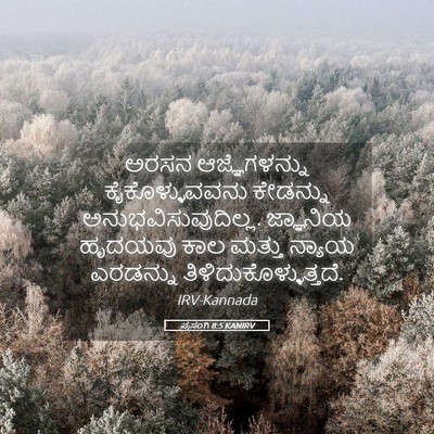 Picture 05 - ಪ್ರಸಂಗಿ 8:5 KANIRV - ಅರಸನ ಆಜ್ಞೆಗಳನ್ನು - Bible Verse Picture