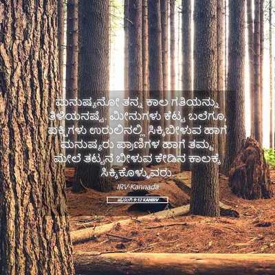 Picture 05 - ಪ್ರಸಂಗಿ 9:12 KANIRV - ಮನುಷ್ಯನೋ ತನ್ನ ಕಾಲ - Bible Verse Picture