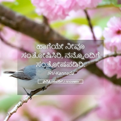 Picture 05 - ಫಿಲಿಪ್ಪಿಯವರಿಗೆ 2:18 KANIRV - ಹಾಗೆಯೇ ನೀವೂ - Bible Verse Picture