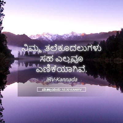 Picture 05 - ಮತ್ತಾಯನು 10:30 KANIRV - ನಿಮ್ಮ ತಲೆಕೂದಲುಗಳು - Bible Verse Picture