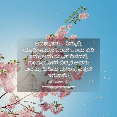 Picture 05 - ಮತ್ತಾಯನು 12:11 KANIRV - ಅದಕ್ಕಾತನು, - Bible Verse Picture
