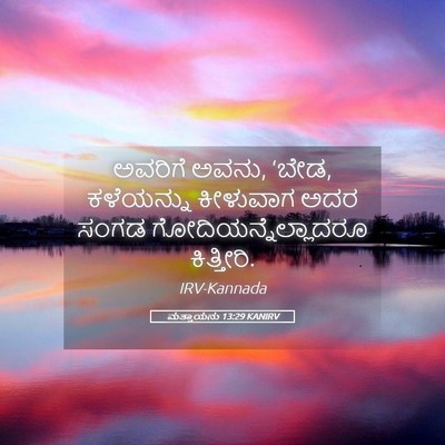 Picture 05 - ಮತ್ತಾಯನು 13:29 KANIRV - ಅವರಿಗೆ ಅವನು, ‘ಬೇಡ, - Bible Verse Picture