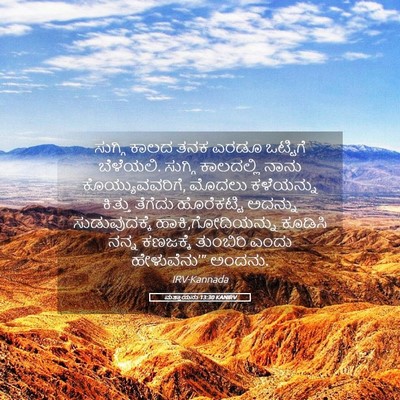 Picture 05 - ಮತ್ತಾಯನು 13:30 KANIRV - ಸುಗ್ಗಿ ಕಾಲದ ತನಕ - Bible Verse Picture