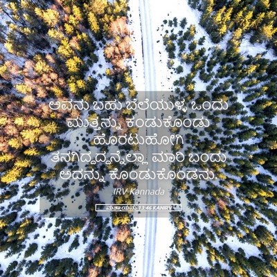 Picture 05 - ಮತ್ತಾಯನು 13:46 KANIRV - ಅವನು ಬಹು - Bible Verse Picture