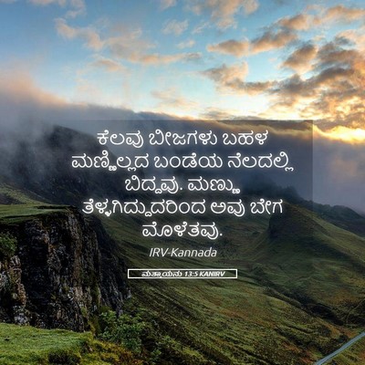 Picture 05 - ಮತ್ತಾಯನು 13:5 KANIRV - ಕೆಲವು ಬೀಜಗಳು ಬಹಳ - Bible Verse Picture