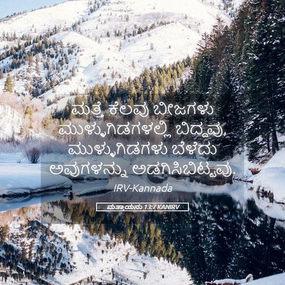 Picture 05 - ಮತ್ತಾಯನು 13:7 KANIRV - ಮತ್ತೆ ಕೆಲವು - Bible Verse Picture