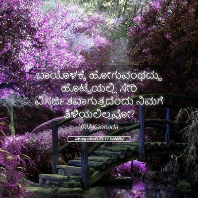 Picture 05 - ಮತ್ತಾಯನು 15:17 KANIRV - ಬಾಯೊಳಕ್ಕೆ - Bible Verse Picture