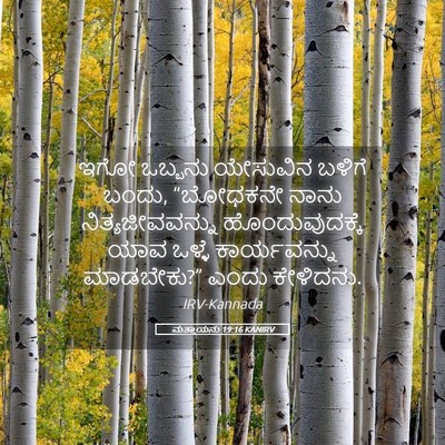 Picture 05 - ಮತ್ತಾಯನು 19:16 KANIRV - ಇಗೋ ಒಬ್ಬನು - Bible Verse Picture