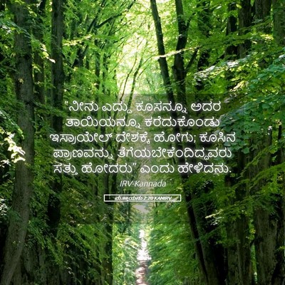 Picture 05 - ಮತ್ತಾಯನು 2:20 KANIRV - “ನೀನು ಎದ್ದು - Bible Verse Picture