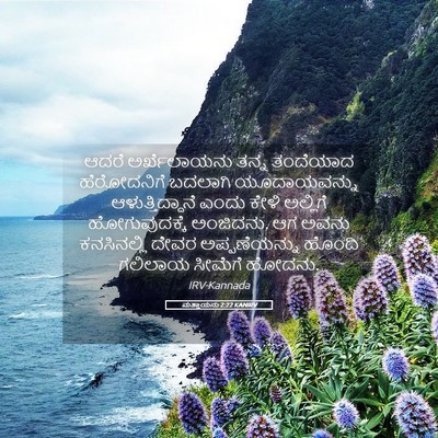 Picture 05 - ಮತ್ತಾಯನು 2:22 KANIRV - ಆದರೆ ಅರ್ಖೆಲಾಯನು - Bible Verse Picture