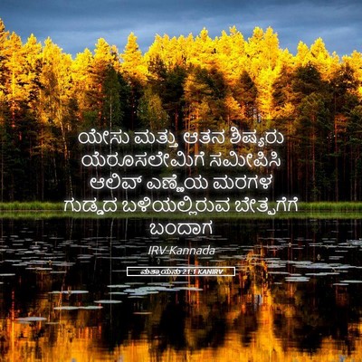 Picture 05 - ಮತ್ತಾಯನು 21:1 KANIRV - ಯೇಸು ಮತ್ತು ಆತನ - Bible Verse Picture