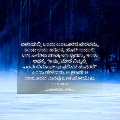 Picture 05 - ಮತ್ತಾಯನು 21:19 KANIRV - ದಾರಿಯಲ್ಲಿ ಒಂದು - Bible Verse Picture