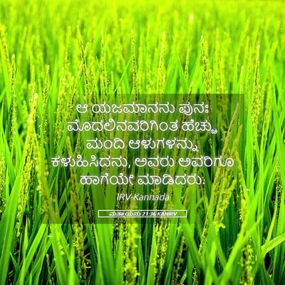 Picture 05 - ಮತ್ತಾಯನು 21:36 KANIRV - ಆ ಯಜಮಾನನು ಪುನಃ - Bible Verse Picture