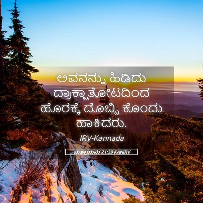 Picture 05 - ಮತ್ತಾಯನು 21:39 KANIRV - ಅವನನ್ನು ಹಿಡಿದು - Bible Verse Picture
