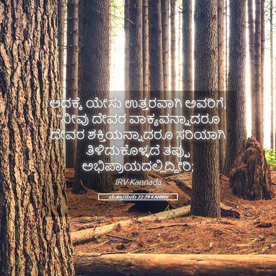 Picture 05 - ಮತ್ತಾಯನು 22:29 KANIRV - ಅದಕ್ಕೆ ಯೇಸು - Bible Verse Picture