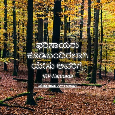 Picture 05 - ಮತ್ತಾಯನು 22:41 KANIRV - ಫರಿಸಾಯರು - Bible Verse Picture