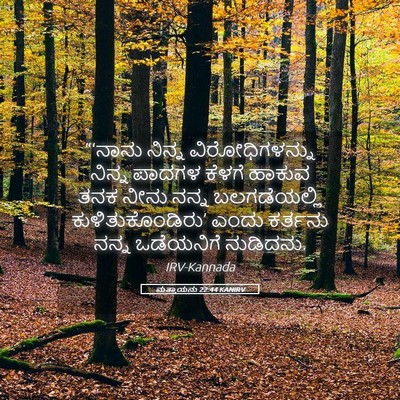 Picture 05 - ಮತ್ತಾಯನು 22:44 KANIRV - “‘ನಾನು ನಿನ್ನ - Bible Verse Picture