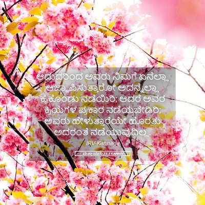 Picture 05 - ಮತ್ತಾಯನು 23:3 KANIRV - ಆದುದರಿಂದ ಅವರು - Bible Verse Picture