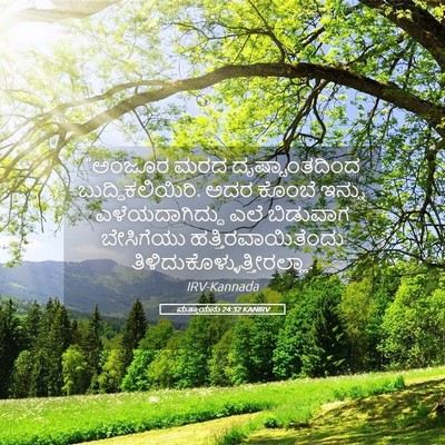 Picture 05 - ಮತ್ತಾಯನು 24:32 KANIRV - “ಅಂಜೂರ ಮರದ - Bible Verse Picture