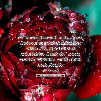 Picture 05 - ಮತ್ತಾಯನು 26:62 KANIRV - ಆಗ ಮಹಾಯಾಜಕನು - Bible Verse Picture