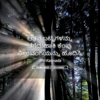 Picture 05 - ಮತ್ತಾಯನು 27:28 KANIRV - ಆತನ ಬಟ್ಟೆಗಳನ್ನು - Bible Verse Picture