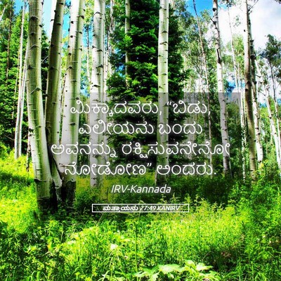Picture 05 - ಮತ್ತಾಯನು 27:49 KANIRV - ಮಿಕ್ಕಾದವರು, “ಬಿಡು, - Bible Verse Picture