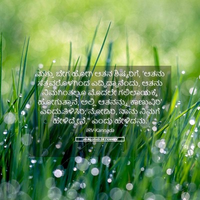 Picture 05 - ಮತ್ತಾಯನು 28:7 KANIRV - ಮತ್ತು ಬೇಗ ಹೋಗಿ ಆತನ - Bible Verse Picture