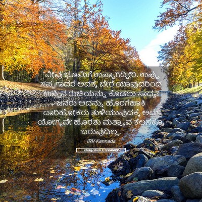Picture 05 - ಮತ್ತಾಯನು 5:13 KANIRV - “ನೀವು ಭೂಮಿಗೆ - Bible Verse Picture