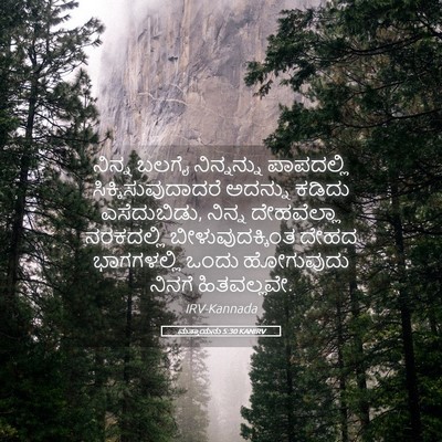 Picture 05 - ಮತ್ತಾಯನು 5:30 KANIRV - ನಿನ್ನ ಬಲಗೈ - Bible Verse Picture