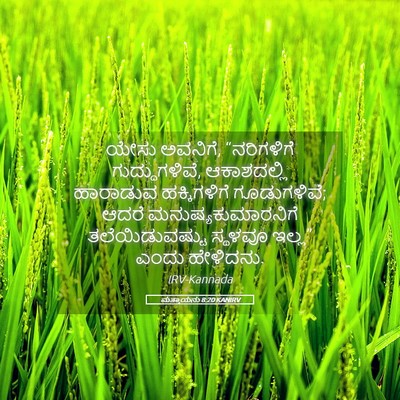 Picture 05 - ಮತ್ತಾಯನು 8:20 KANIRV - ಯೇಸು ಅವನಿಗೆ, - Bible Verse Picture