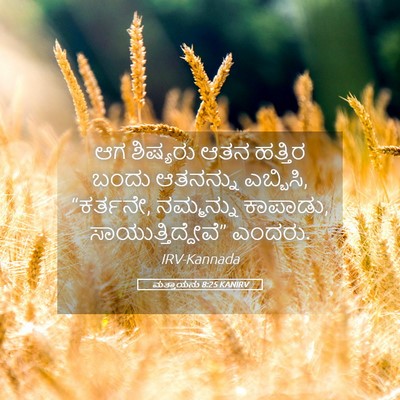 Picture 05 - ಮತ್ತಾಯನು 8:25 KANIRV - ಆಗ ಶಿಷ್ಯರು ಆತನ - Bible Verse Picture