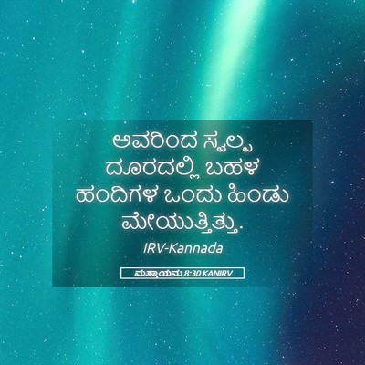 Picture 05 - ಮತ್ತಾಯನು 8:30 KANIRV - ಅವರಿಂದ ಸ್ವಲ್ಪ - Bible Verse Picture