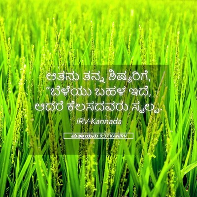 Picture 05 - ಮತ್ತಾಯನು 9:37 KANIRV - ಆತನು ತನ್ನ - Bible Verse Picture