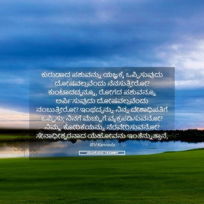 Picture 05 - ಮಲಾಕಿಯನು 1:8 KANIRV - ಕುರುಡಾದ ಪಶುವನ್ನು - Bible Verse Picture
