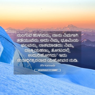 Picture 05 - ಮಲಾಕಿಯನು 3:11 KANIRV - ನುಂಗುವ ಹುಳವನ್ನು - Bible Verse Picture