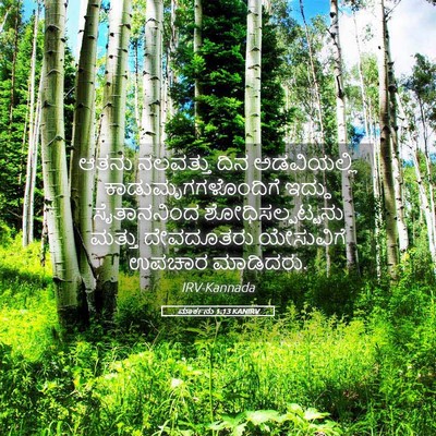 Picture 05 - ಮಾರ್ಕನು 1:13 KANIRV - ಆತನು ನಲವತ್ತು ದಿನ - Bible Verse Picture