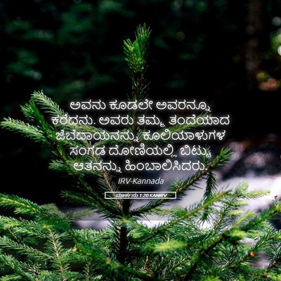 Picture 05 - ಮಾರ್ಕನು 1:20 KANIRV - ಅವನು ಕೂಡಲೇ - Bible Verse Picture