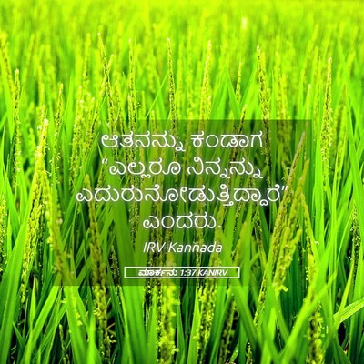 Picture 05 - ಮಾರ್ಕನು 1:37 KANIRV - ಆತನನ್ನು ಕಂಡಾಗ - Bible Verse Picture
