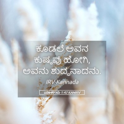Picture 05 - ಮಾರ್ಕನು 1:42 KANIRV - ಕೂಡಲೆ ಅವನ ಕುಷ್ಠವು - Bible Verse Picture