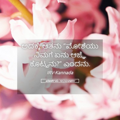 Picture 05 - ಮಾರ್ಕನು 10:3 KANIRV - ಅದಕ್ಕೆ ಆತನು - Bible Verse Picture