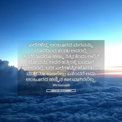 Picture 05 - ಮಾರ್ಕನು 11:13 KANIRV - ಎಲೆಗಳಿದ್ದ ಅಂಜೂರದ - Bible Verse Picture