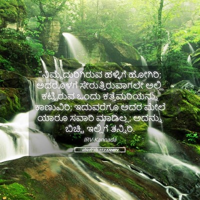 Picture 05 - ಮಾರ್ಕನು 11:2 KANIRV - “ನಿಮ್ಮೆದುರಿಗಿರುವ - Bible Verse Picture