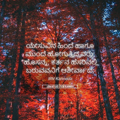 Picture 05 - ಮಾರ್ಕನು 11:9 KANIRV - ಯೇಸುವಿನ ಹಿಂದೆ - Bible Verse Picture