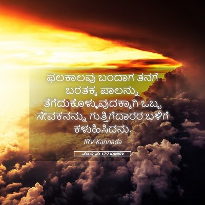 Picture 05 - ಮಾರ್ಕನು 12:2 KANIRV - ಫಲಕಾಲವು ಬಂದಾಗ - Bible Verse Picture